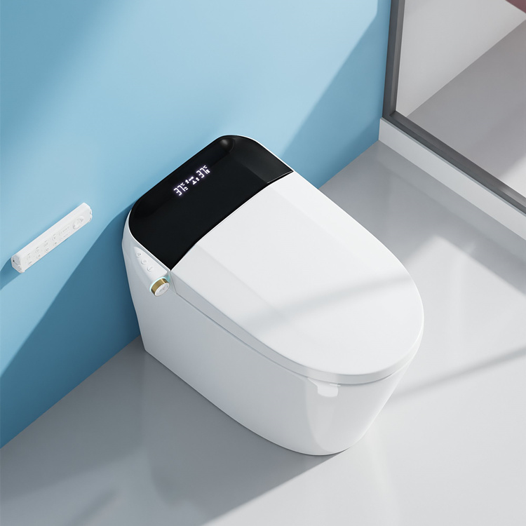 Home Decoration Bathroom Smart - đánh giá và giá Home Bathroom