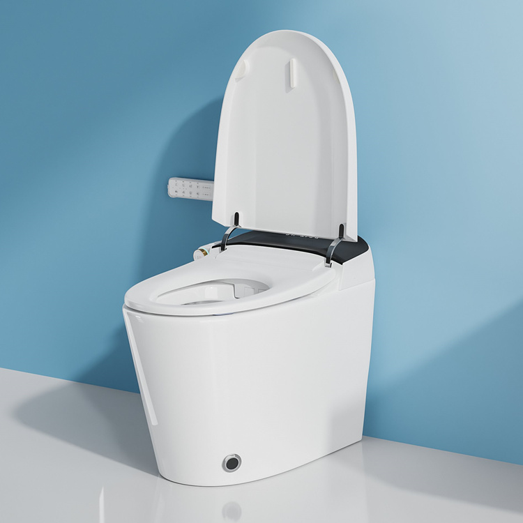 Home Decoration Bathroom Smart - đánh giá và giá Home Bathroom