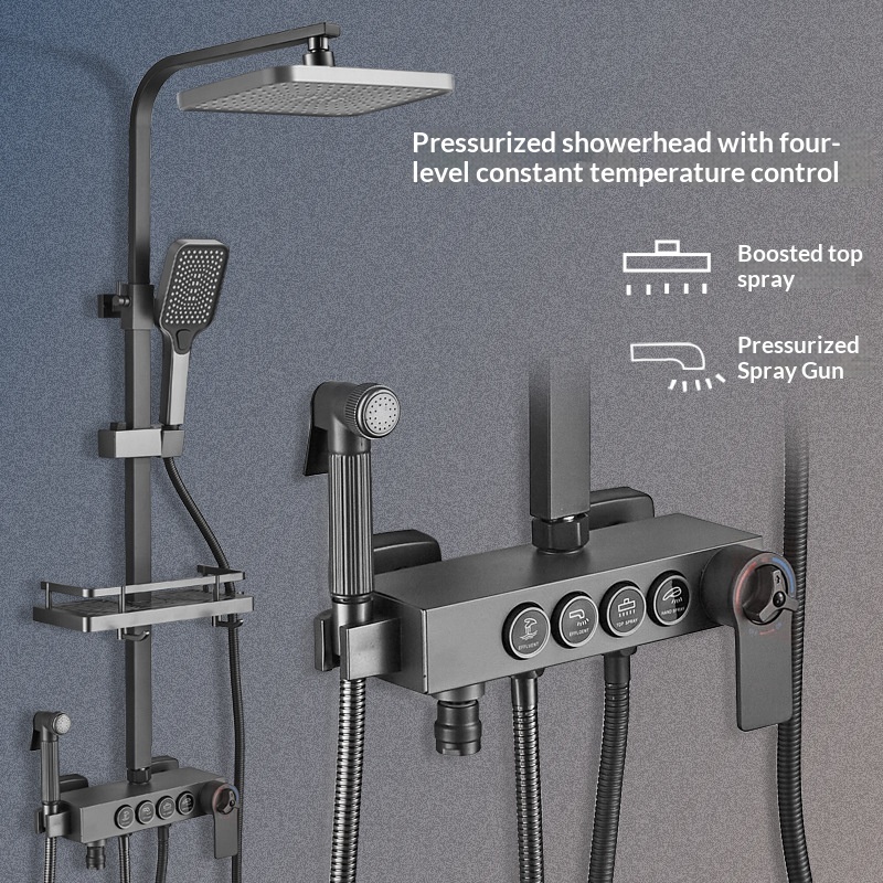 Stainless Steel Shower Set Ant - đánh giá và giá Home Bathroom