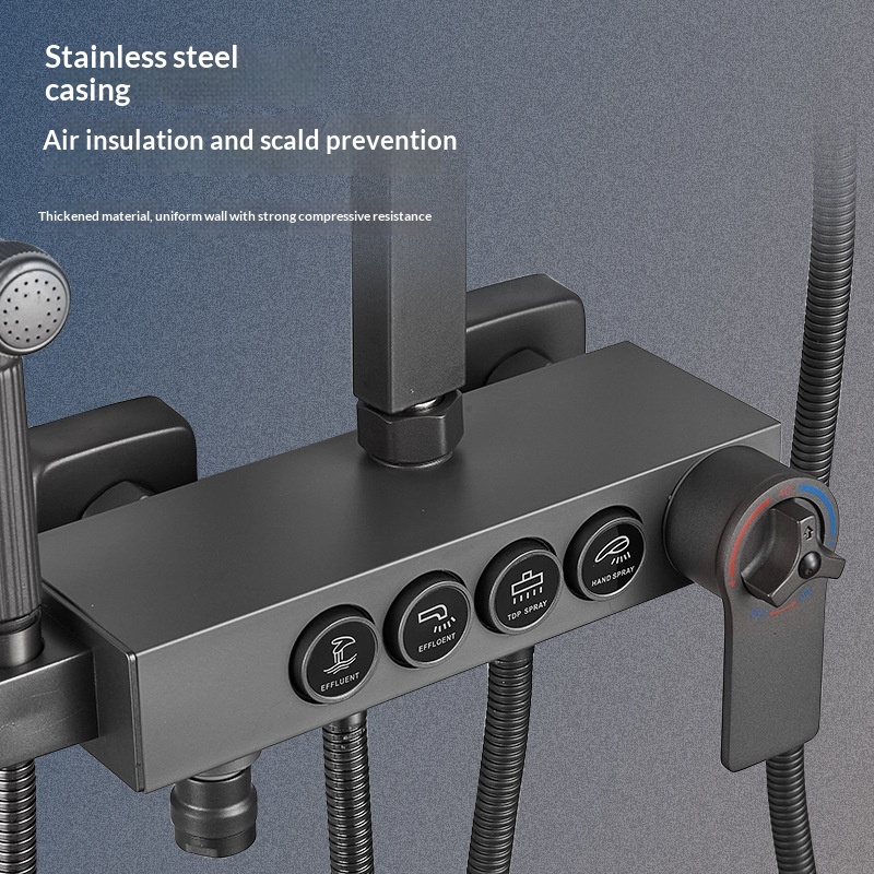 Stainless Steel Shower Set Ant - đánh giá và giá Home Bathroom